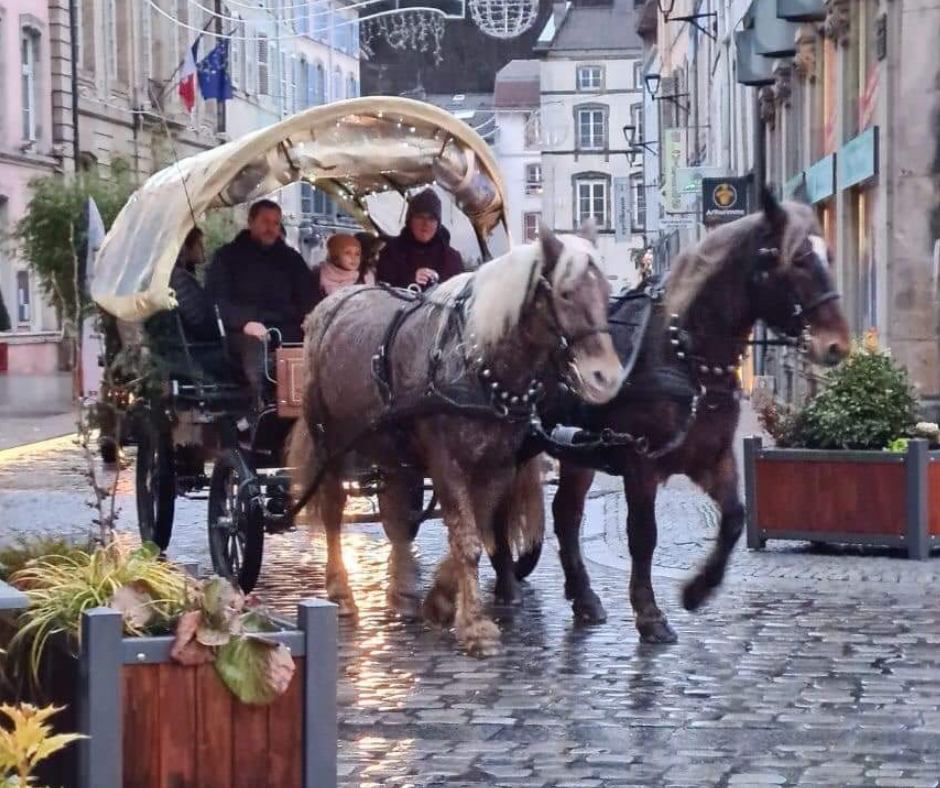 Calèche tractée par des chevaux. EquiVal